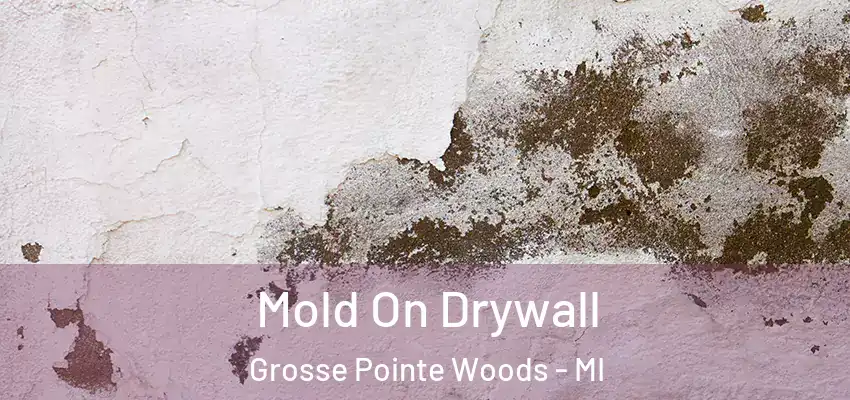  Mold On Drywall Grosse Pointe Woods - MI