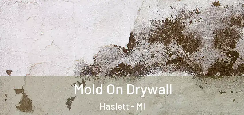  Mold On Drywall Haslett - MI