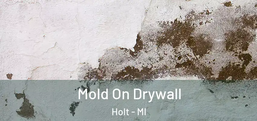  Mold On Drywall Holt - MI