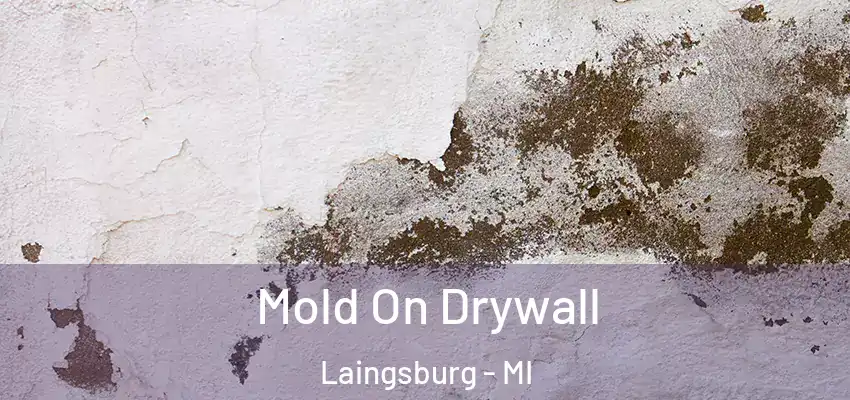 Mold On Drywall Laingsburg - MI