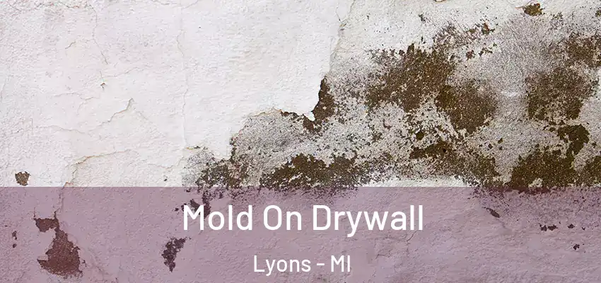 Mold On Drywall Lyons - MI