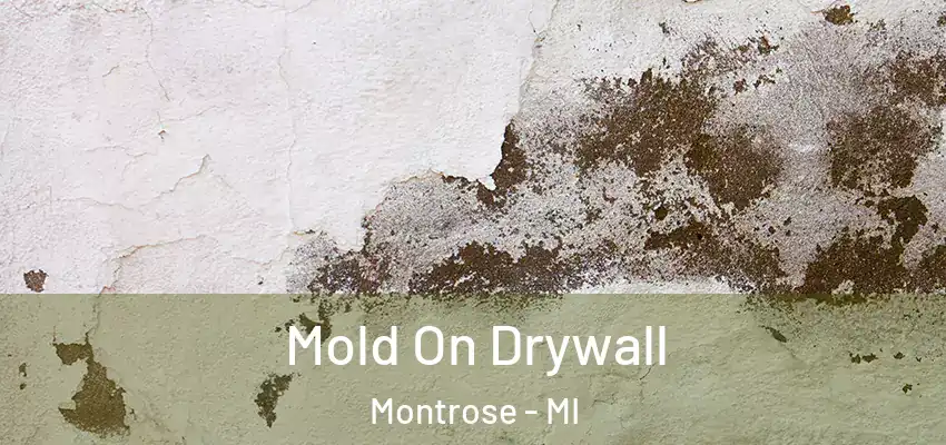  Mold On Drywall Montrose - MI