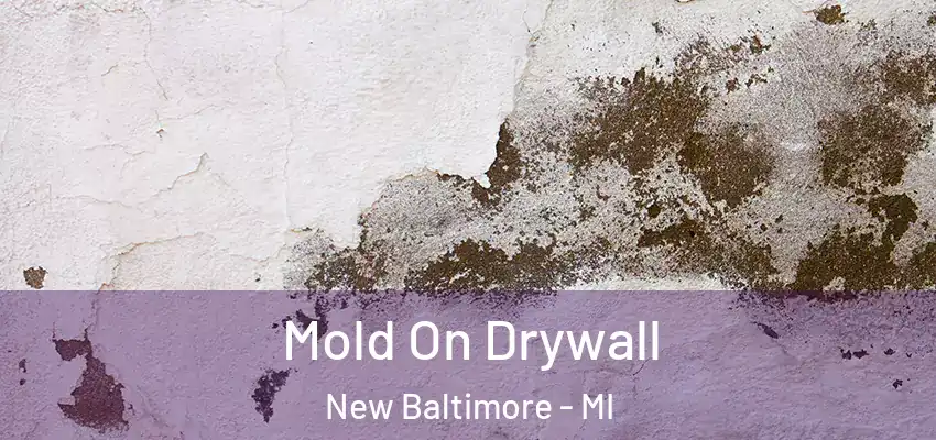  Mold On Drywall New Baltimore - MI