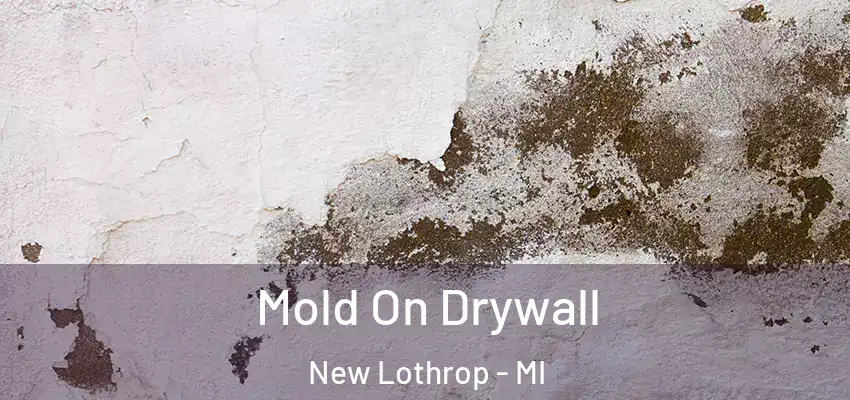  Mold On Drywall New Lothrop - MI
