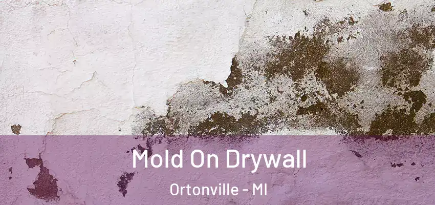  Mold On Drywall Ortonville - MI