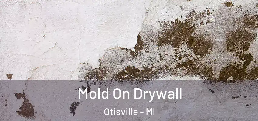  Mold On Drywall Otisville - MI