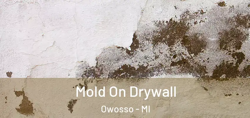  Mold On Drywall Owosso - MI
