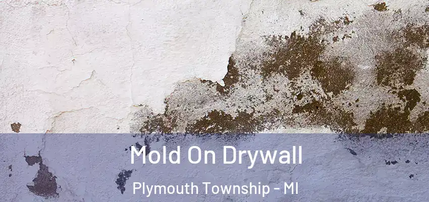  Mold On Drywall Plymouth Township - MI
