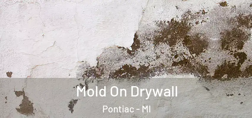  Mold On Drywall Pontiac - MI