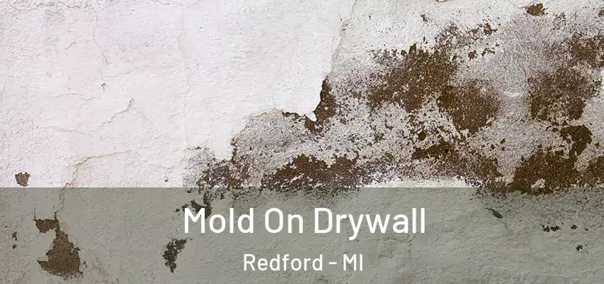  Mold On Drywall Redford - MI