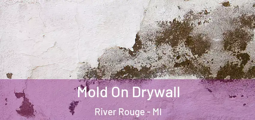  Mold On Drywall River Rouge - MI