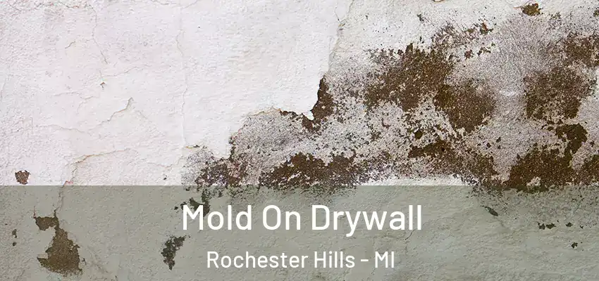  Mold On Drywall Rochester Hills - MI