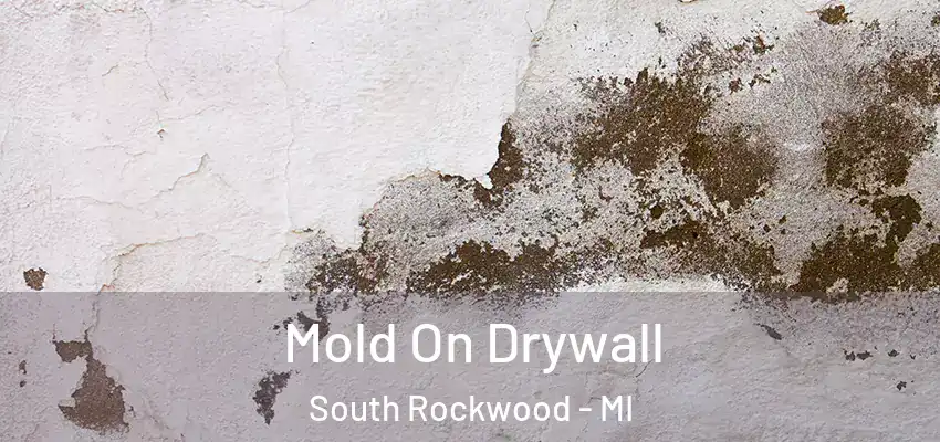  Mold On Drywall South Rockwood - MI