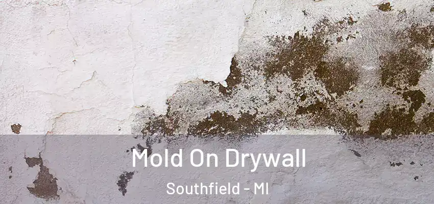  Mold On Drywall Southfield - MI