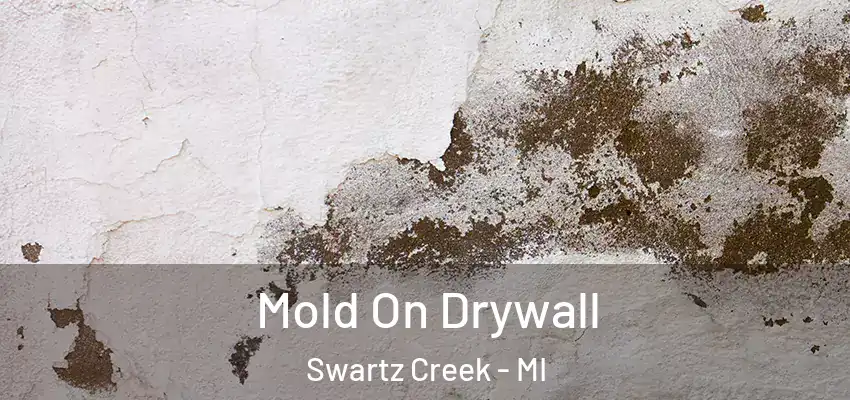 Mold On Drywall Swartz Creek - MI