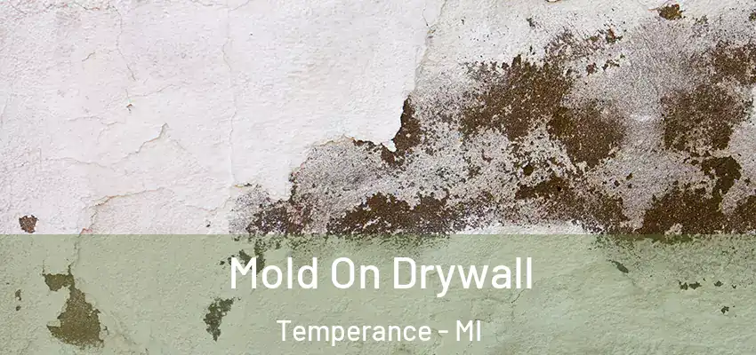  Mold On Drywall Temperance - MI