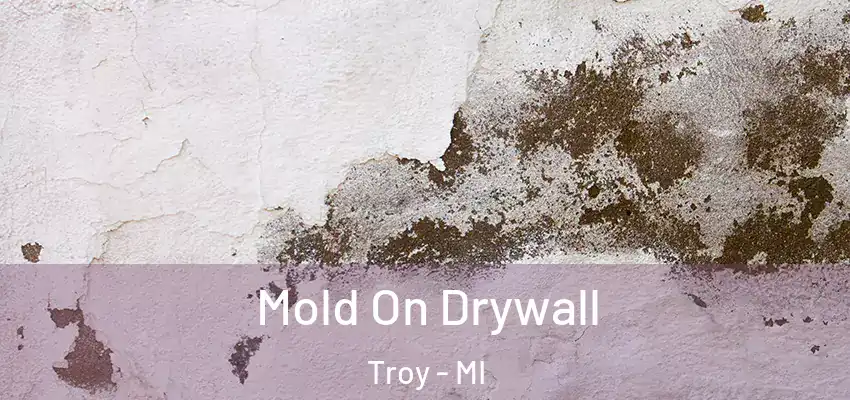  Mold On Drywall Troy - MI