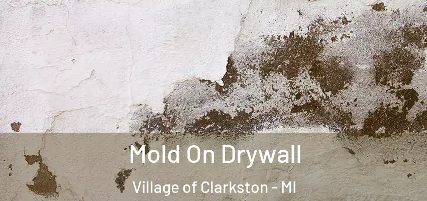  Mold On Drywall Village of Clarkston - MI