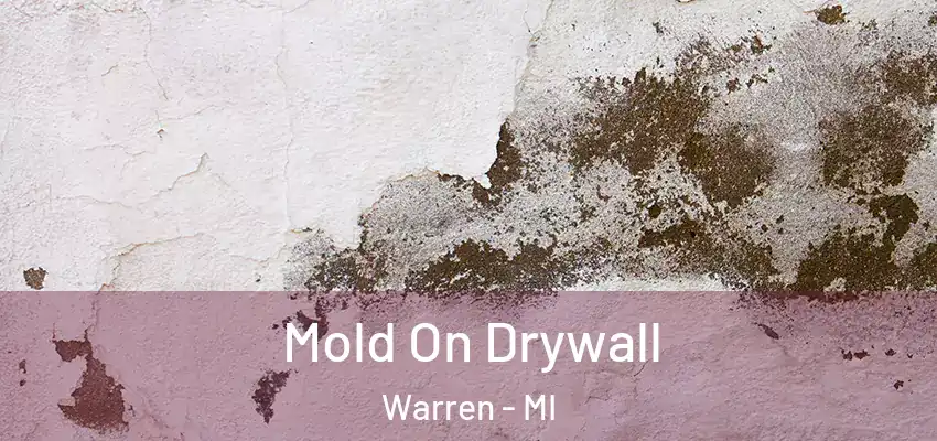  Mold On Drywall Warren - MI