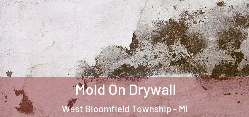  Mold On Drywall West Bloomfield Township - MI