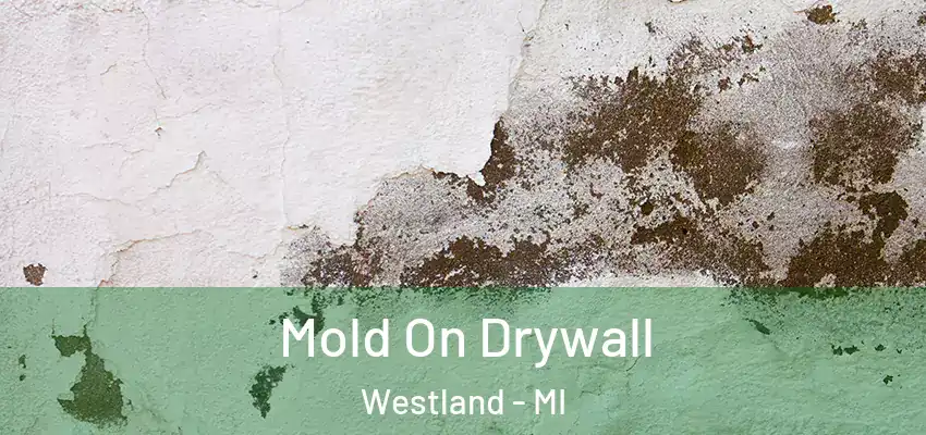  Mold On Drywall Westland - MI