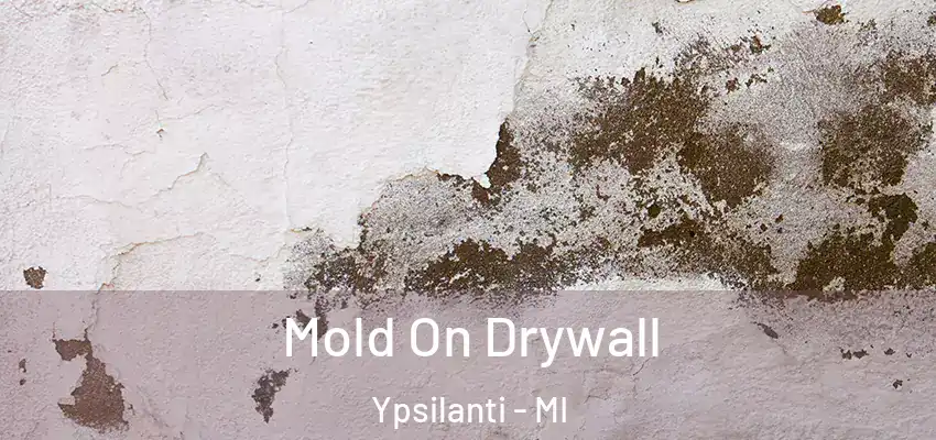 Mold On Drywall Ypsilanti - MI