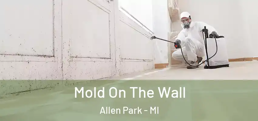 Mold On The Wall Allen Park - MI