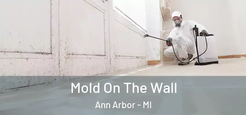  Mold On The Wall Ann Arbor - MI
