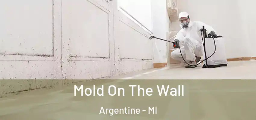  Mold On The Wall Argentine - MI