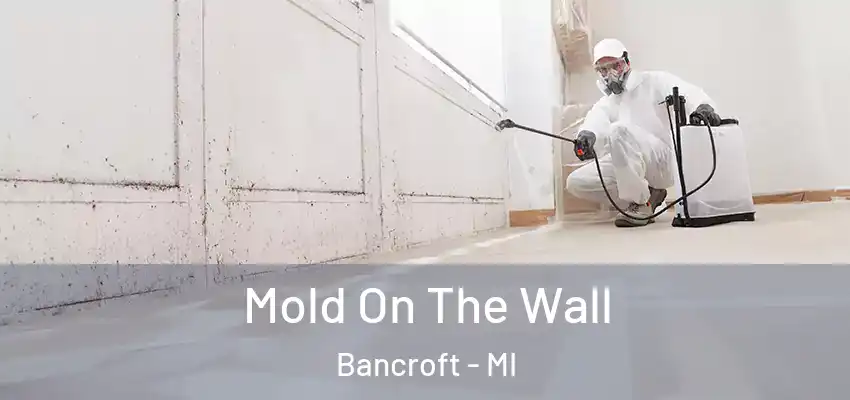  Mold On The Wall Bancroft - MI