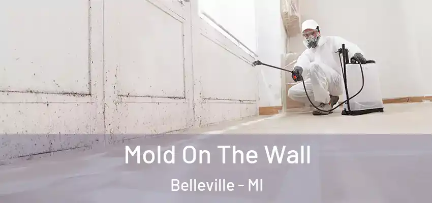  Mold On The Wall Belleville - MI