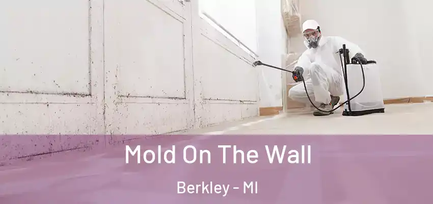  Mold On The Wall Berkley - MI