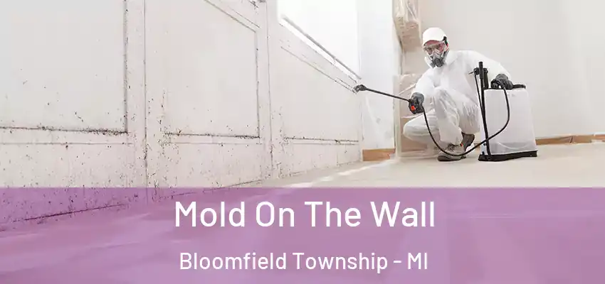  Mold On The Wall Bloomfield Township - MI