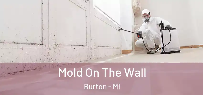  Mold On The Wall Burton - MI