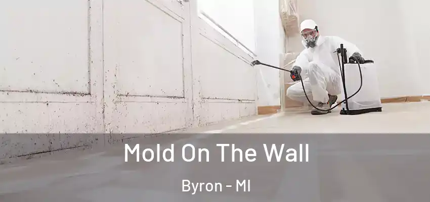  Mold On The Wall Byron - MI
