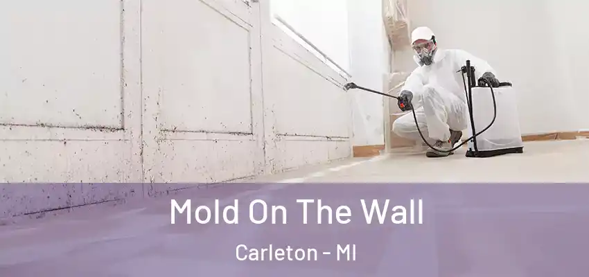  Mold On The Wall Carleton - MI