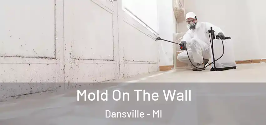  Mold On The Wall Dansville - MI