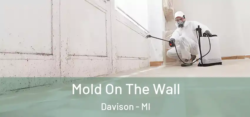  Mold On The Wall Davison - MI