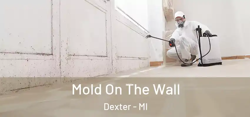  Mold On The Wall Dexter - MI