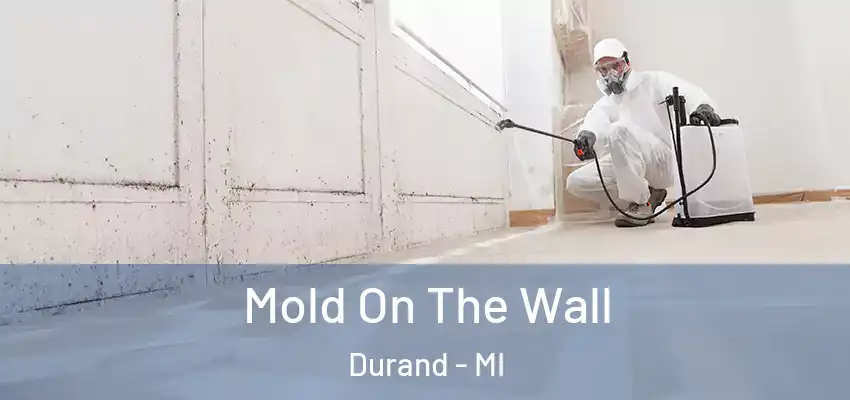  Mold On The Wall Durand - MI
