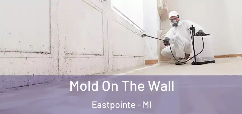  Mold On The Wall Eastpointe - MI