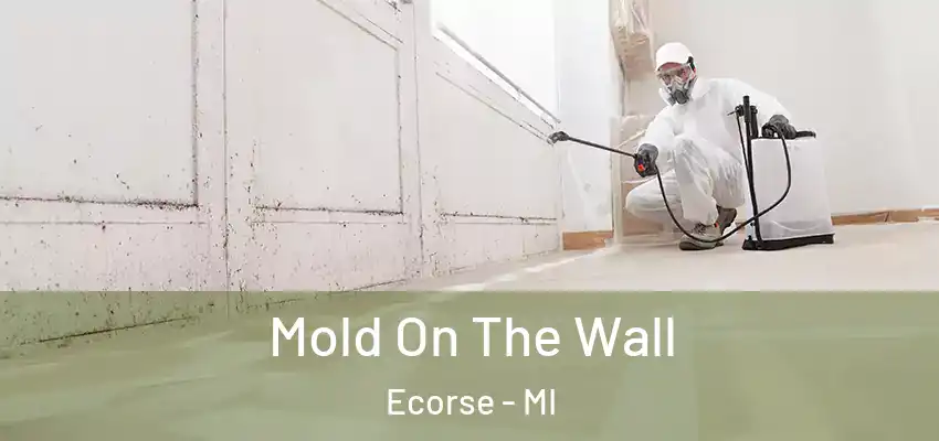  Mold On The Wall Ecorse - MI