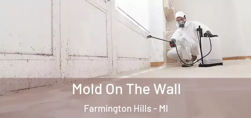  Mold On The Wall Farmington Hills - MI
