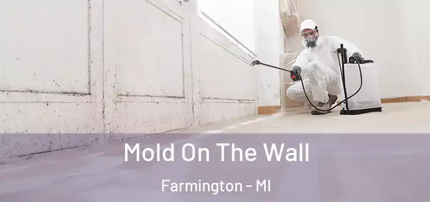  Mold On The Wall Farmington - MI
