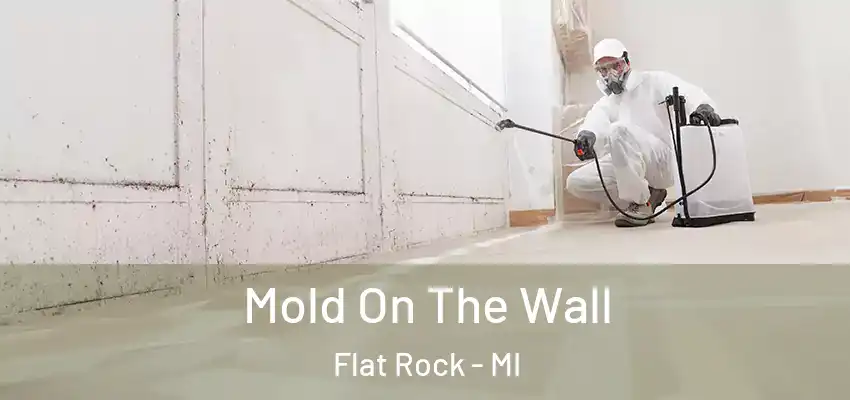  Mold On The Wall Flat Rock - MI