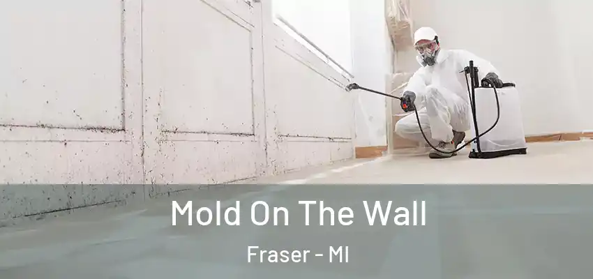  Mold On The Wall Fraser - MI