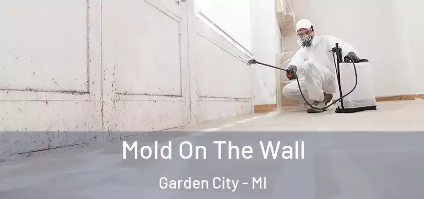 Mold On The Wall Garden City - MI