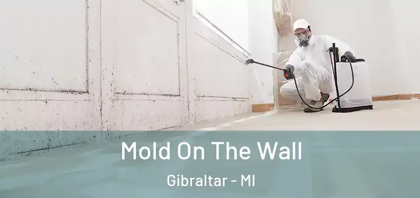 Mold On The Wall Gibraltar - MI