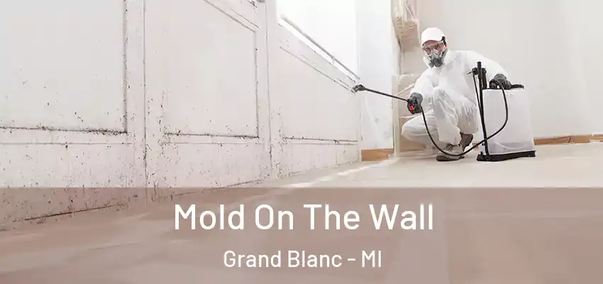 Mold On The Wall Grand Blanc - MI