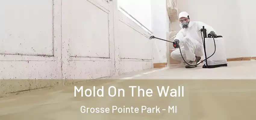  Mold On The Wall Grosse Pointe Park - MI